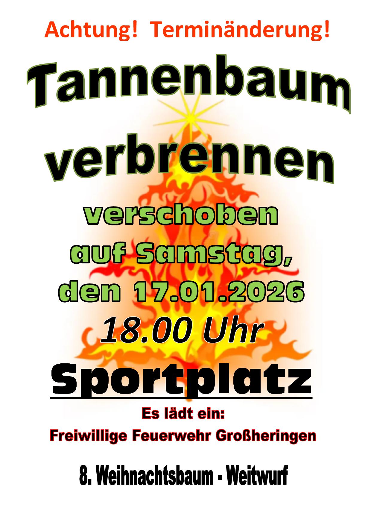 Tannenbaum-Verbrennen_20261